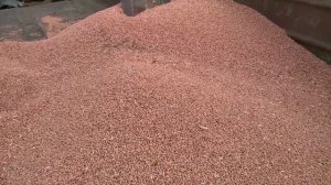 протравитель семян из шнека  своими руками 24 сентября 2020 г.