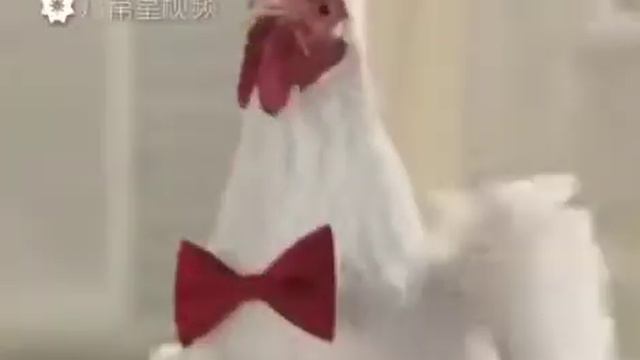 Год петуха прикол смотреть онлайн