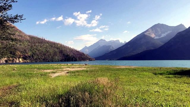 4К Звуки природы / Лесное озеро в горах / Пение птиц