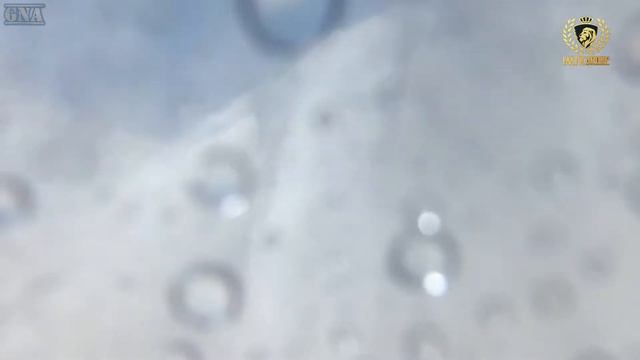 4Life Gold Getaway 2016 Iguazu / Salvador - IMT Korea смотреть онлайн