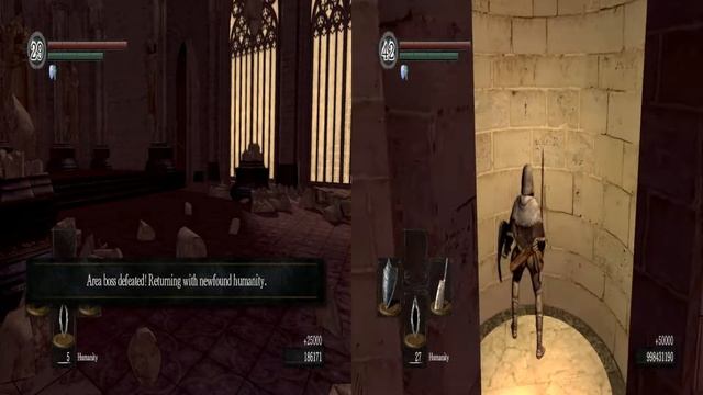 NucleusCoop 2P Splitscreen Sesh 8/30/20 (Dark Souls)