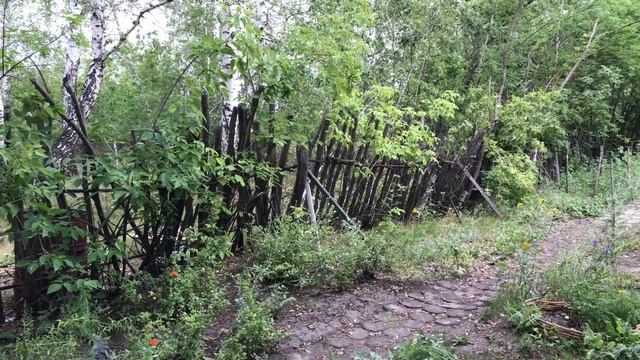 Делаю клумбу из палок. Покрасим в следующем ролике смотреть онлайн