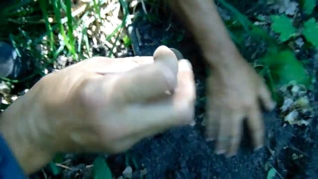 КОП КАК ВО СНЕ 2021! РАССЫПУХИ ЦАРСКИХ МОНЕТ с Garrett AT Pro, Vanquish 340, XP ORX, Кощей 45 смотреть онлайн