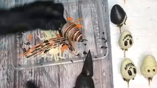 КЛУБНИЧНЫЙ БУКЕТ С ЦВЕТАМИ. КЛУБНИКА В ШОКОЛАДЕ ДНЕПР С ДОСТАВКОЙ ??????❤️????????(2) смотреть онлайн