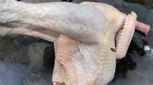 -1 С чего начать//Разделка тушки Петуха