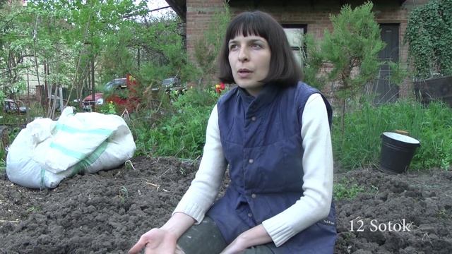 Выращивание физалиса