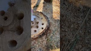 Как убрать уничтожить пень своими руками быстро какие нужны свёрла и другое