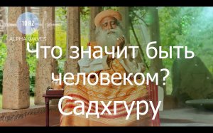Что значит быть человеком? Садхгуру