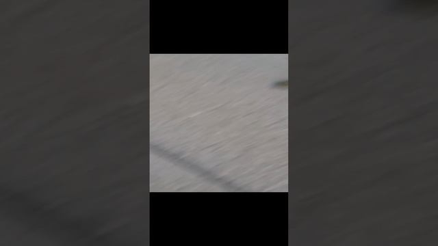 Я разговариваю с маленькой лягушкой, почему она боится людей? смотреть онлайн