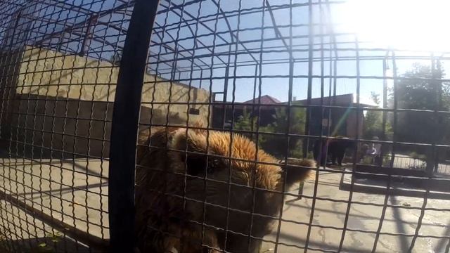 Кулинарная Фантазия