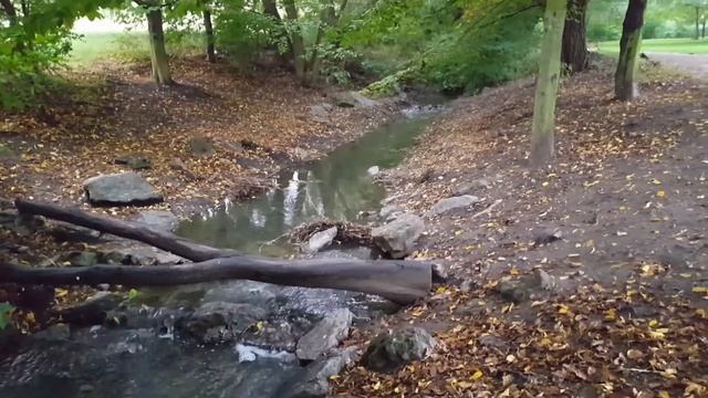 Звуки природы ранним утром , пение птиц , шум реки, для релакса и хорошего сна, Медитация . смотреть онлайн