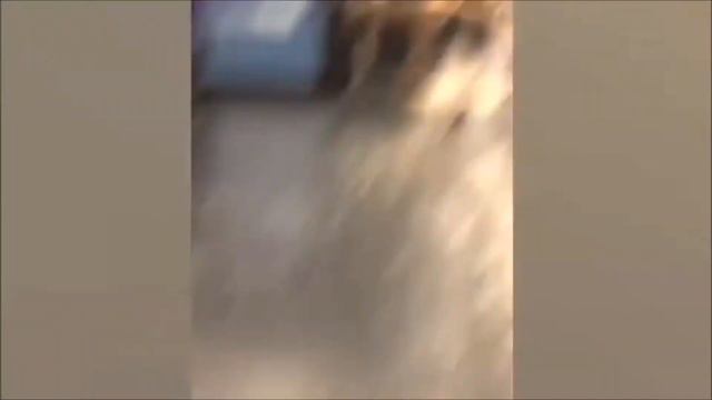 [ЭПИЧНЫЕ МОМЕНТЫ] ЗЛОЙ МЕДВЕДЬ #3 смотреть онлайн