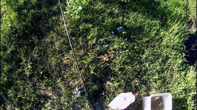 Первая рыбалка сезона на р. Хопер. 08.06.2022 г. смотреть онлайн