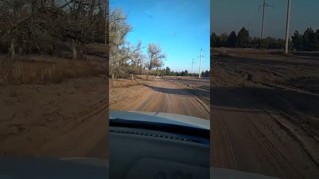Каменск-Шахтинский лес смотреть онлайн