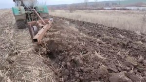 пахота и шиповник)