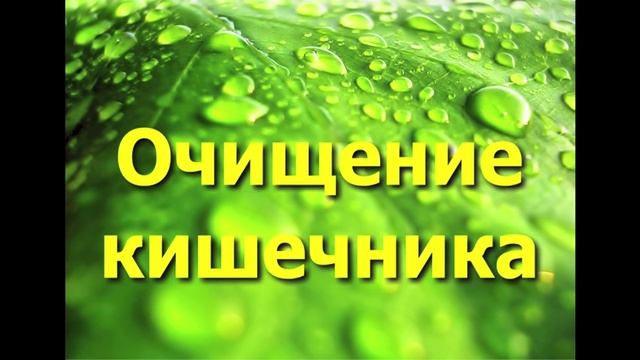 Лучший способ очищения кишечника - при помощи глины. смотреть онлайн