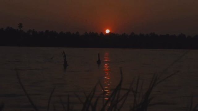 Ночной варган смотреть онлайн