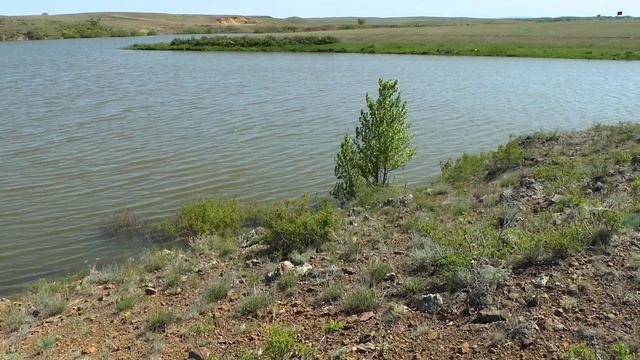 Поездка на каньон на мопеде альфа смотреть онлайн