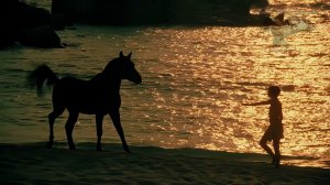 Виталий Черницкий Я подозвал коня