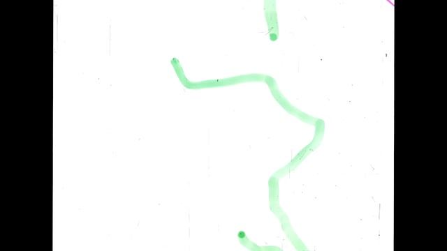 First crack at drawing a 35mm film смотреть онлайн