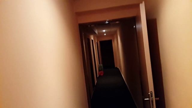 ГЕРМАНИЯ - VLOG 17.12.15?Львов - Прага (День 2) смотреть онлайн
