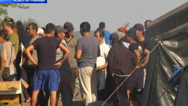 Мигранты уехали на родину смотреть онлайн