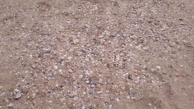 Медузы смотреть онлайн
