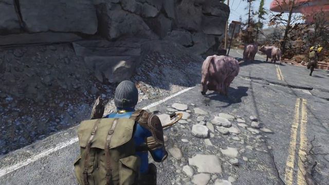 Free Range - no hud, no music just cowboy gameplay in Fallout 76 смотреть онлайн