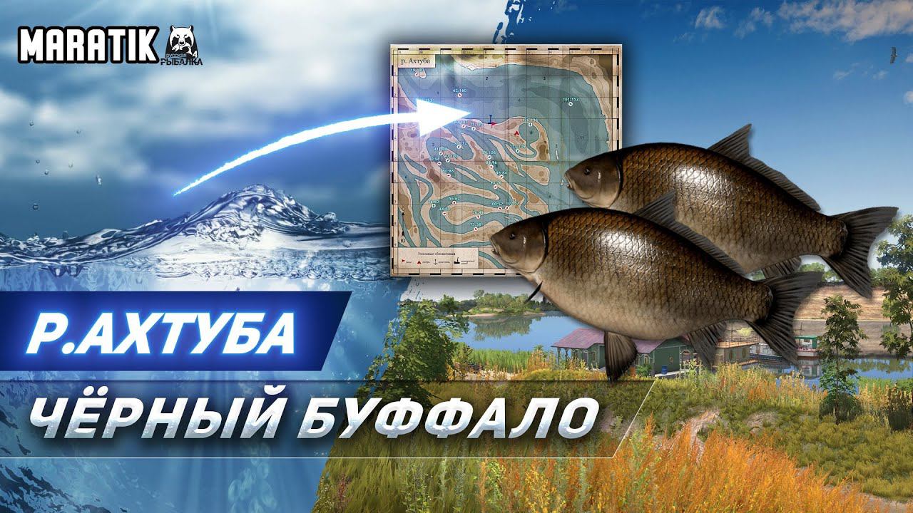НА АХТУБЕ ФАРМЯТ?! ● р. Ахтуба ● Русская Рыбалка 4 ● Russian Fishing 4