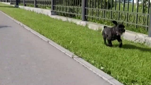 Прогулка с Ше.г Южно-Сахалинск лето 2021 смотреть онлайн