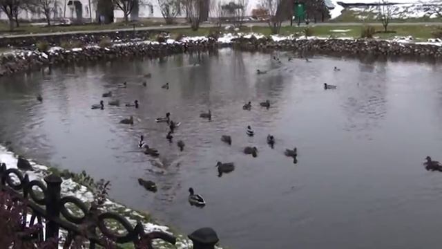 Ярославль ноябрь 2017