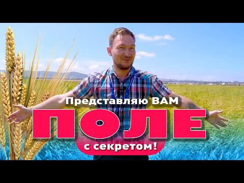 Отличное место для Ваших капиталовложений! смотреть онлайн
