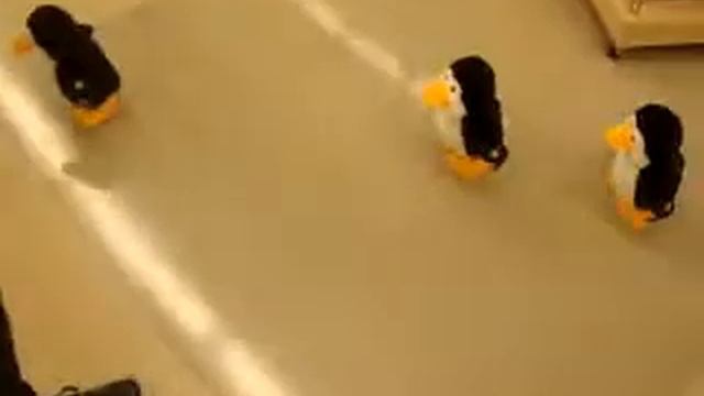 March of the Penguins Kroger Style смотреть онлайн