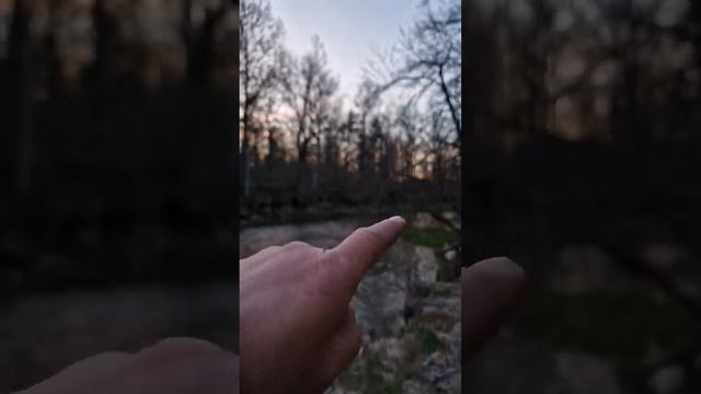 Ловим рыбу на водопаде. #рыбалка #река #донки #adventuresbrothers смотреть онлайн