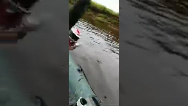 Ловля судака на троллинг. Москва - река. Воскресенск. смотреть онлайн