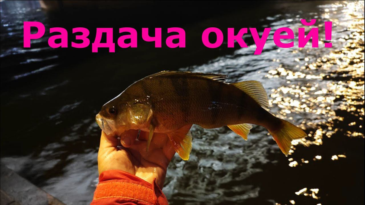 #461 #streetfishing | Раздача окуней | MUKAI Air Stick AS-1632XUL "ZANMU Crank" | смотреть онлайн