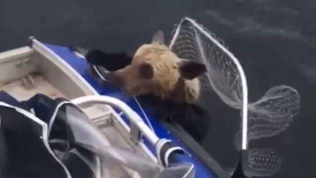 Гимн рыбаков! смотреть онлайн