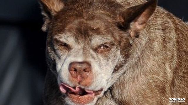 Цитрон - Аль Капоне смотреть онлайн