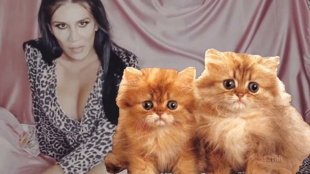 ШОК +18 BOAJEY НА WEBCAM ( music video 2021 ) смотреть онлайн