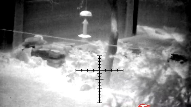 The Best Raccoon Hunting Footage! смотреть онлайн