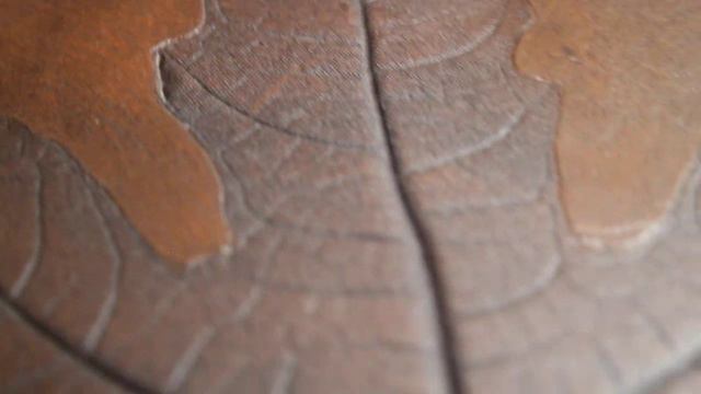 Тарелка ручной работы, инжир. смотреть онлайн