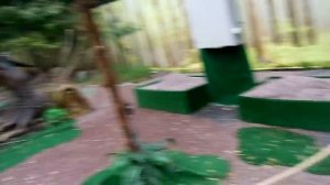 Динопарк в Москве / Динозавры как настоящие / Dinoaurs