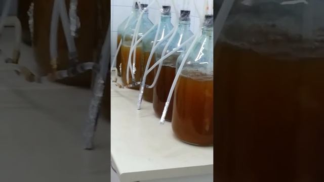 Аэрация: производство биопрепарата МД-Септ смотреть онлайн