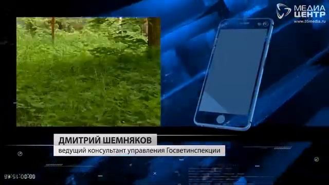 На Вологодчине впервые разложат приманку с вакциной против бешенства смотреть онлайн