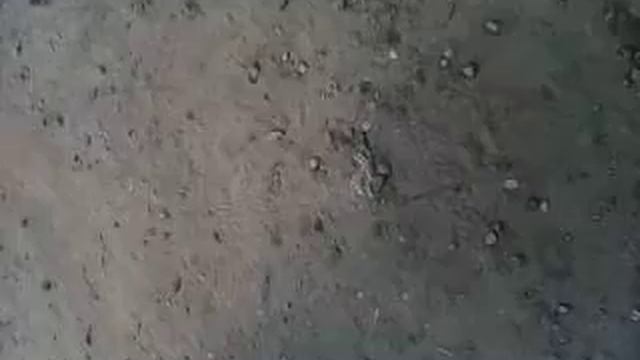 Дочка едет на самодельном тракторе!! смотреть онлайн