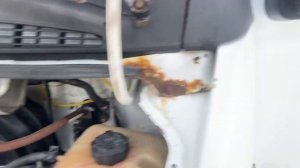 Почему воздушит сцепление газель бизнес , резинки трубки сцепления