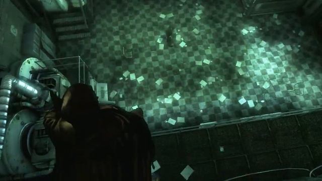 "Batman: Arkham Asylum" Guide for all Riddler's challenges, Botanic Gardens, Part 1\2 смотреть онлайн