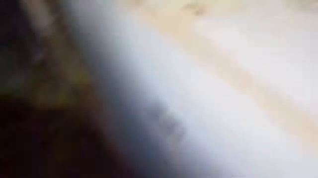 Секрет !!! 100% окрол кроликов смотреть онлайн