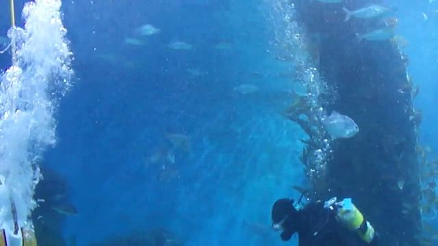 Melbourne Aquarium Shark Attack-3D смотреть онлайн