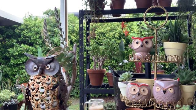 Taniman natin ang tiny pots 🌿 смотреть онлайн